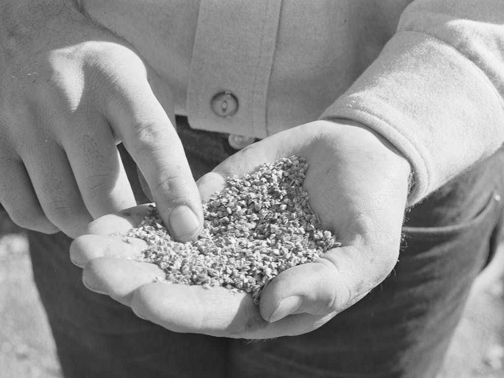 Untitled Photo, Possibly Related To Salinas, California