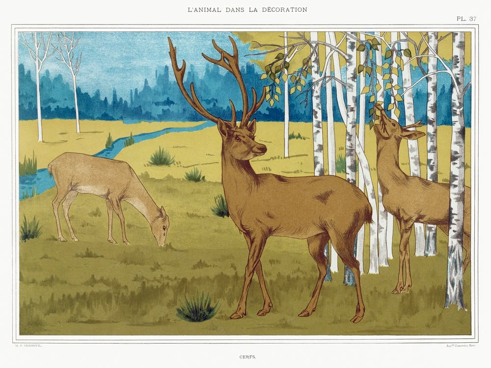 Deer From The Animal In The Decoration (1897), Maurice Pillard Verneuil