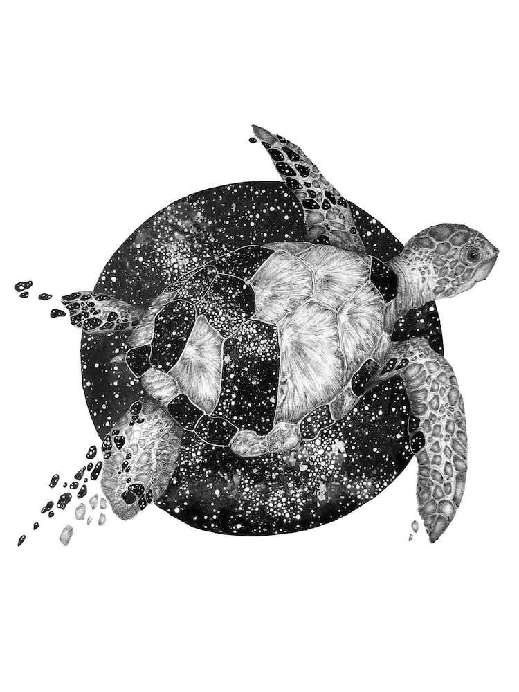 Cosmic Sea Turtle