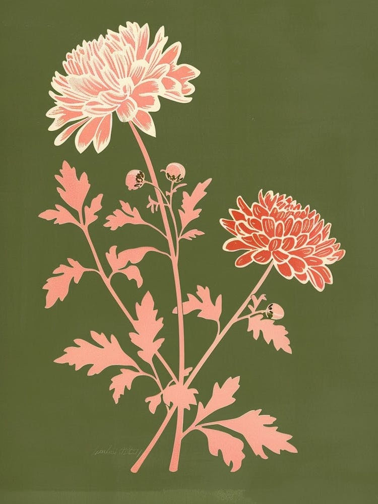 Pink & Green Chrysanthemum 2