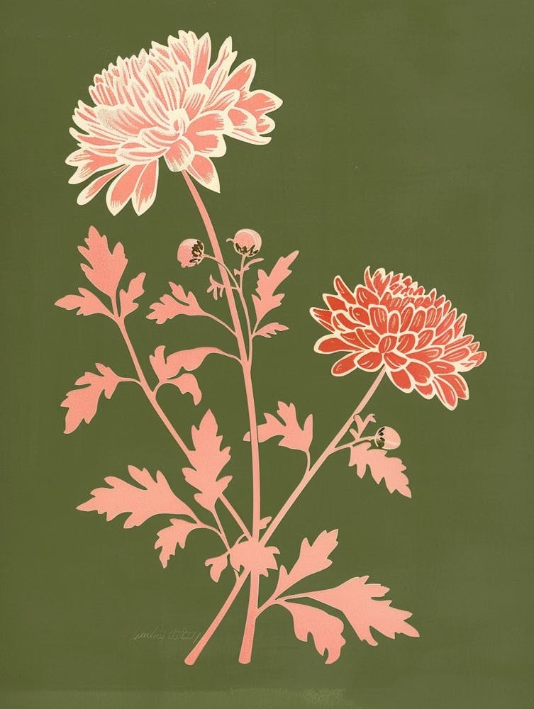 Pink & Green Chrysanthemum 2