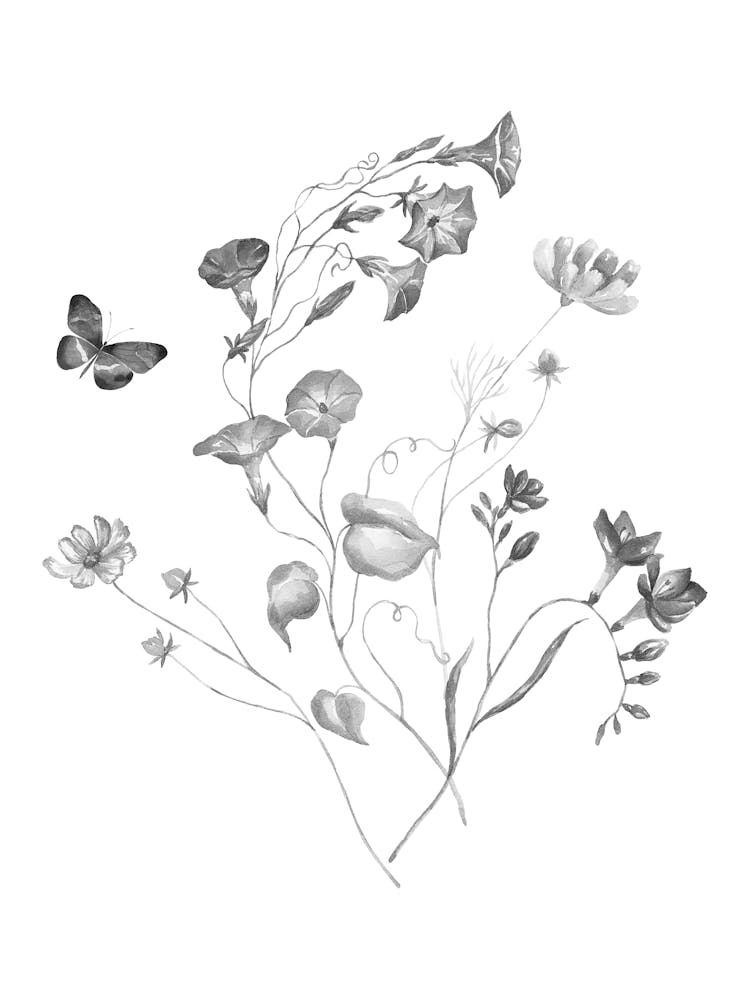 Flowers And Butterflies