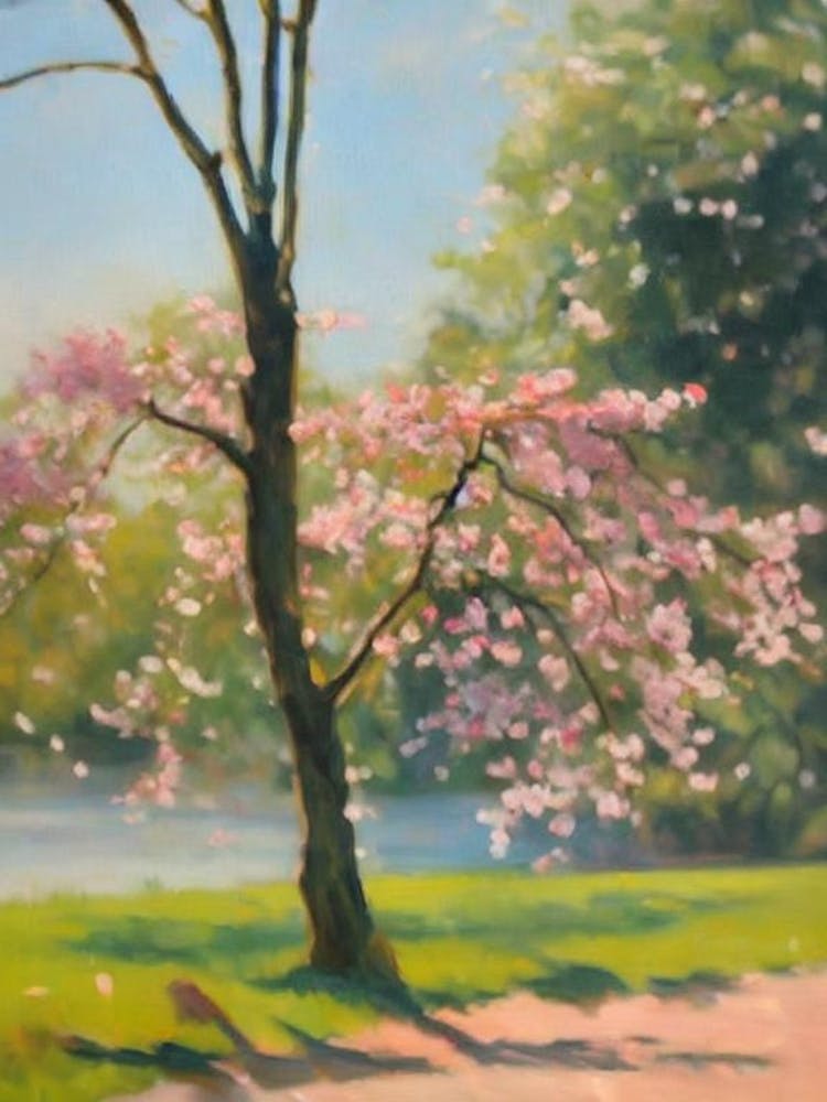 Flowering Cherry Tree Watercolour