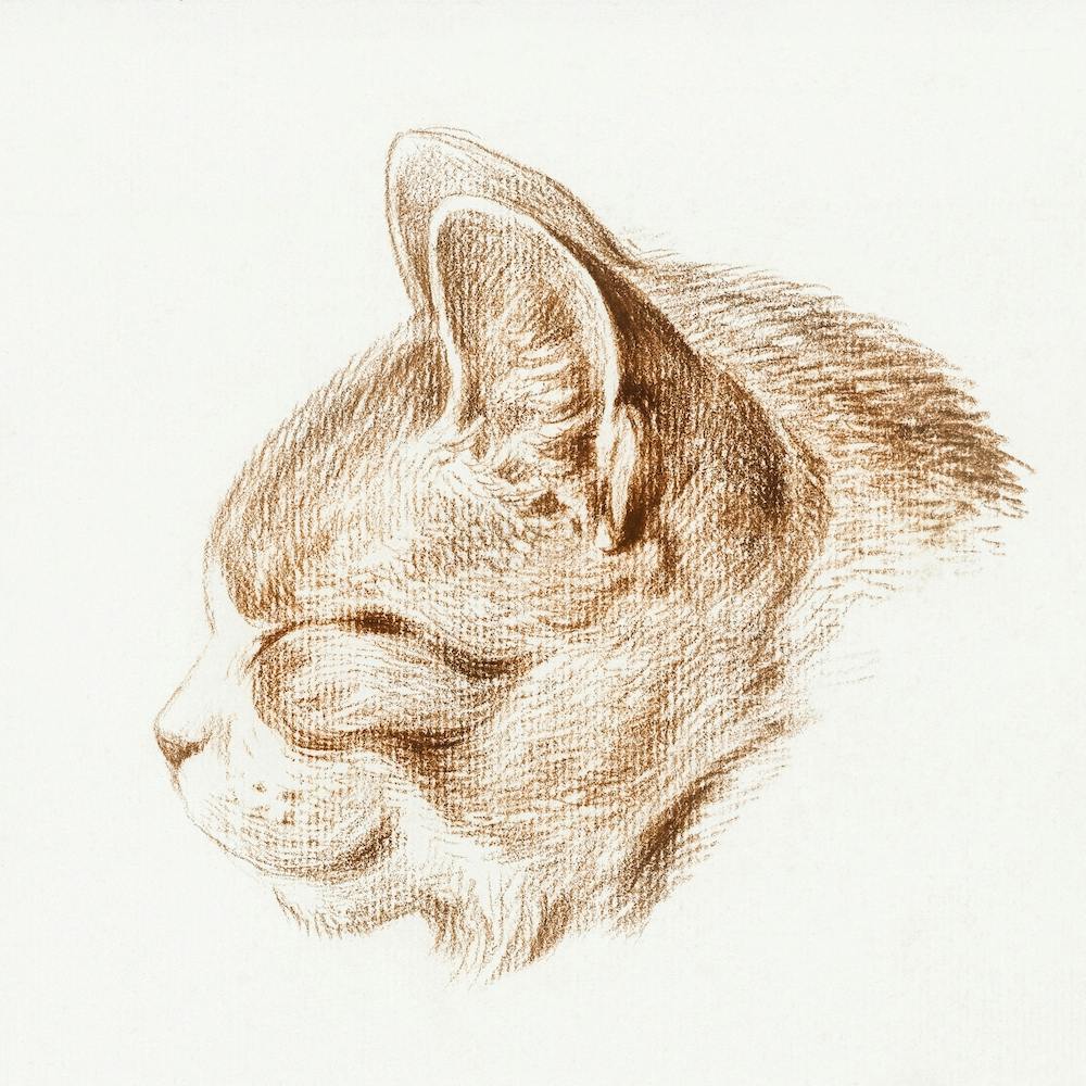 Sketch Of A Cat (1813), Jean Bernard