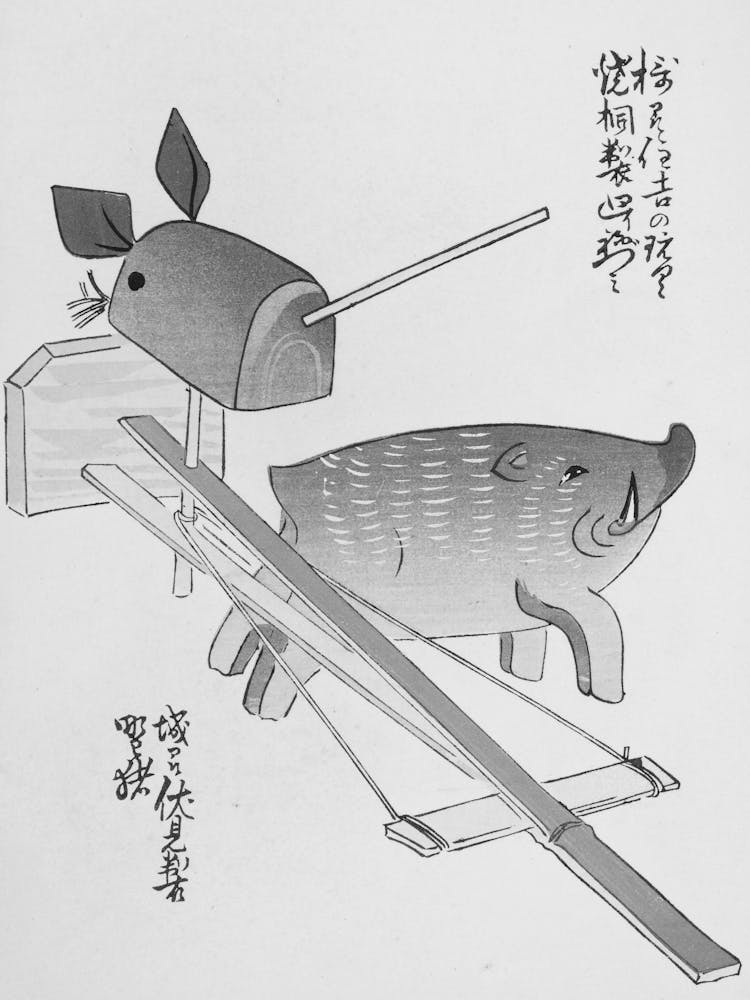 Cochon Dans Un Bateau