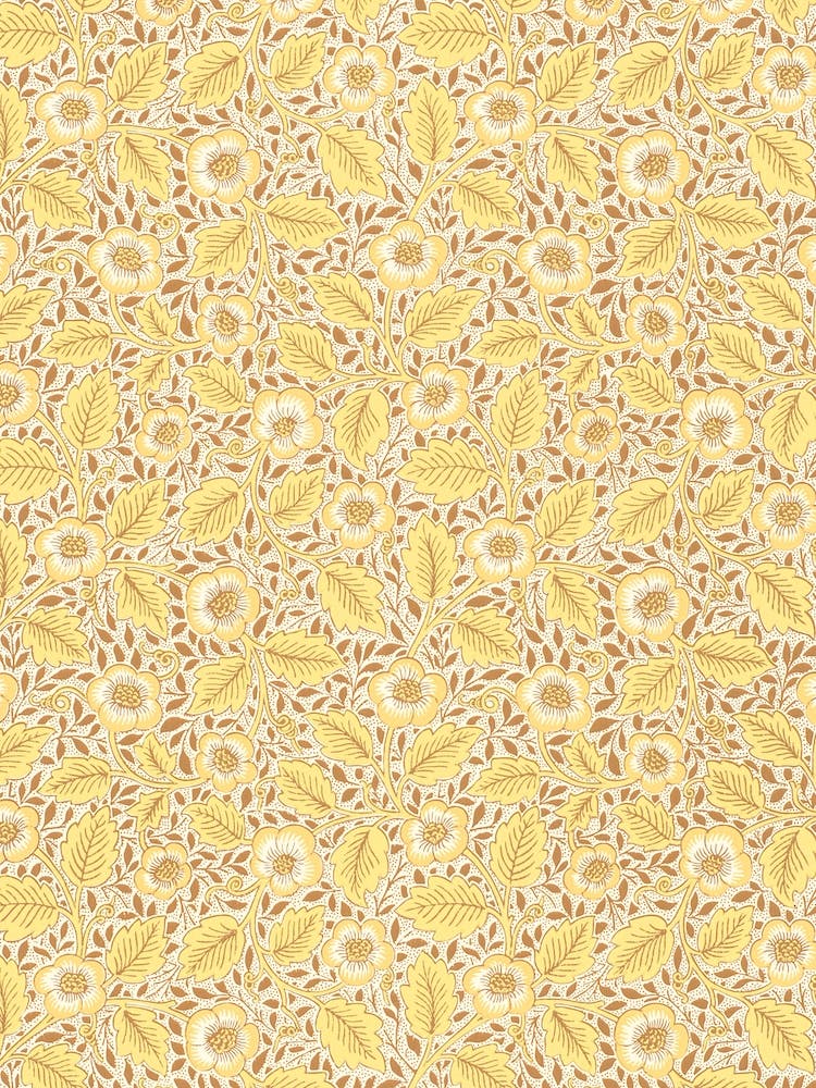 Christchurch, William Morris