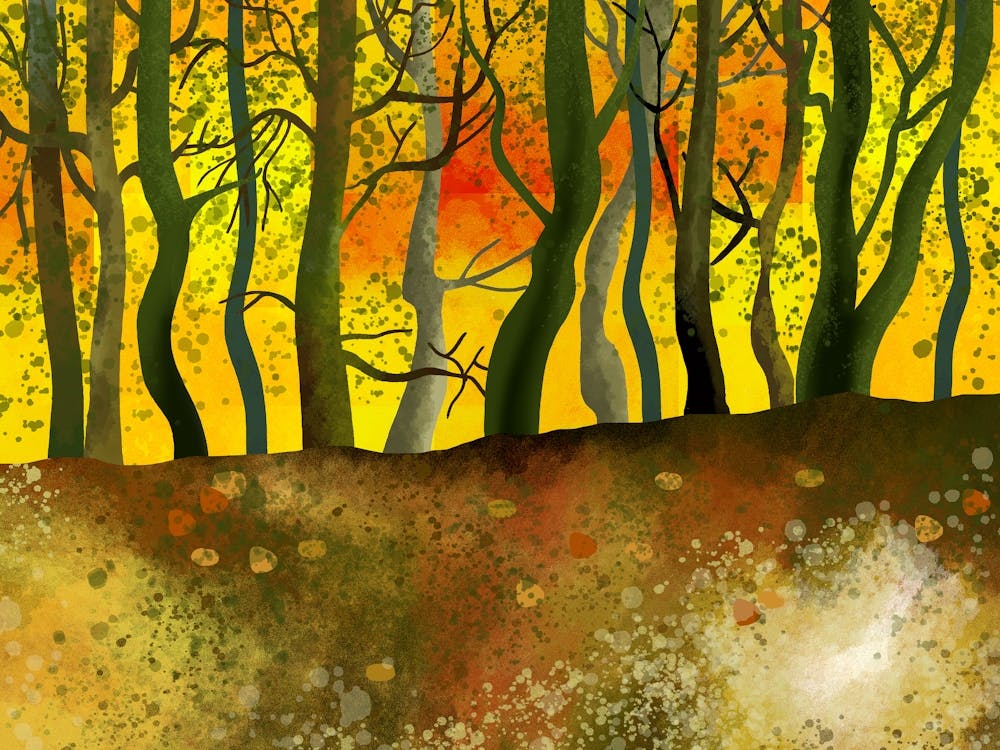 Woodland