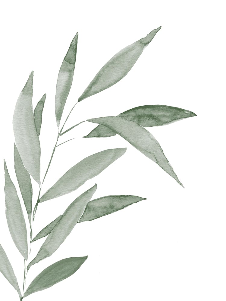 Watercolor Bamboo Leaf in Sage Green