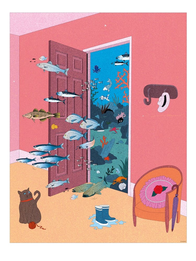 What Do You Sea Through The Door