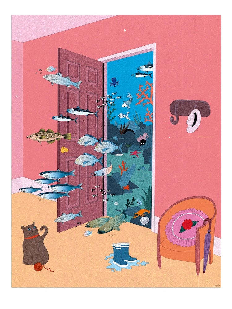 What Do You Sea Through The Door