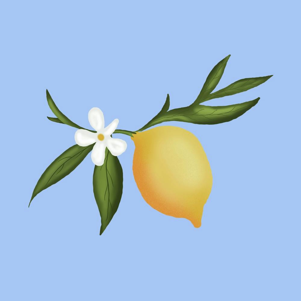 Lemon fruit and flowers
