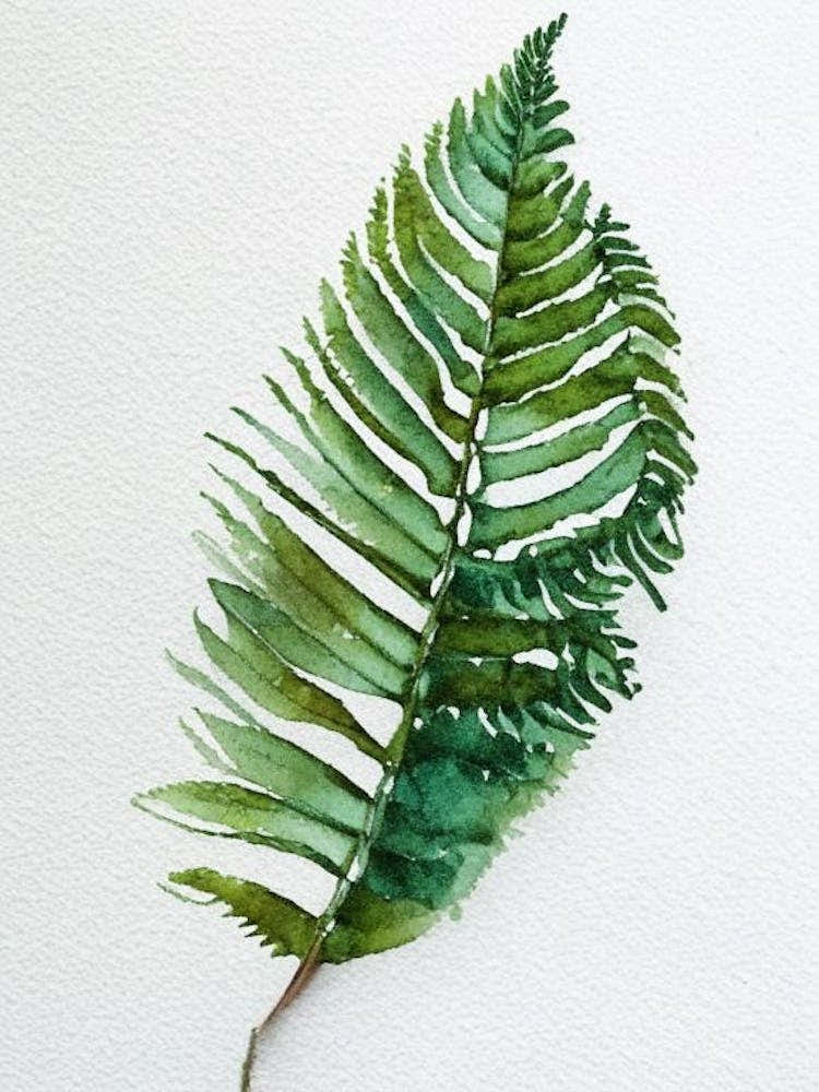 Felt Fern Watercolour