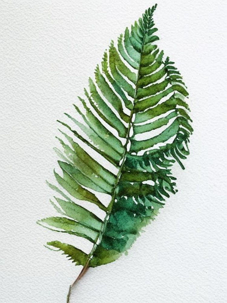 Felt Fern Watercolour