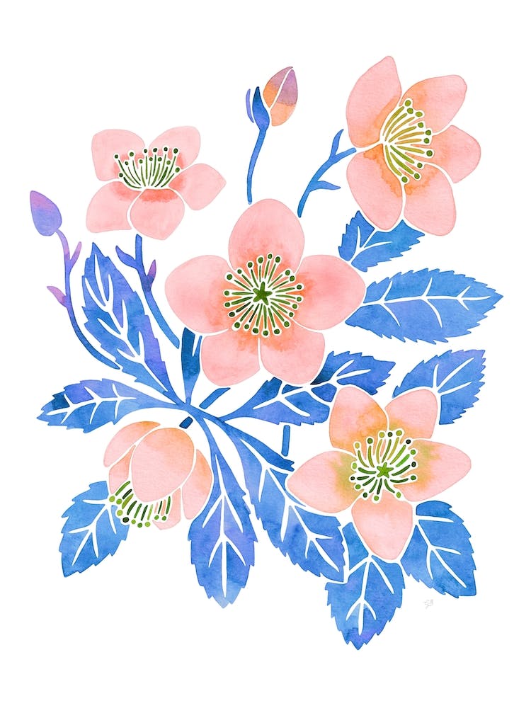 Winter Rose Pink