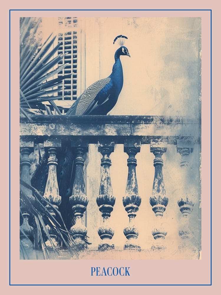 Cyanotype Inspired Peacock Resting On A Handrail 2 Poster