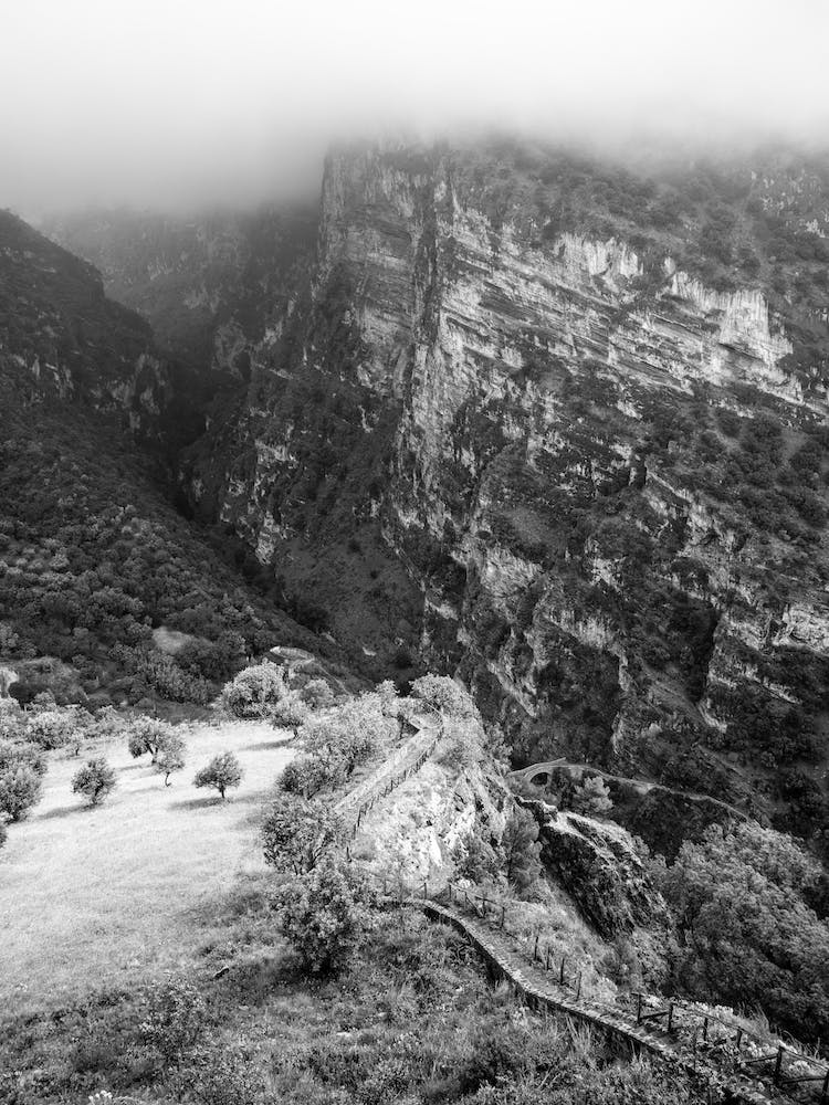 Fog In The Mountains