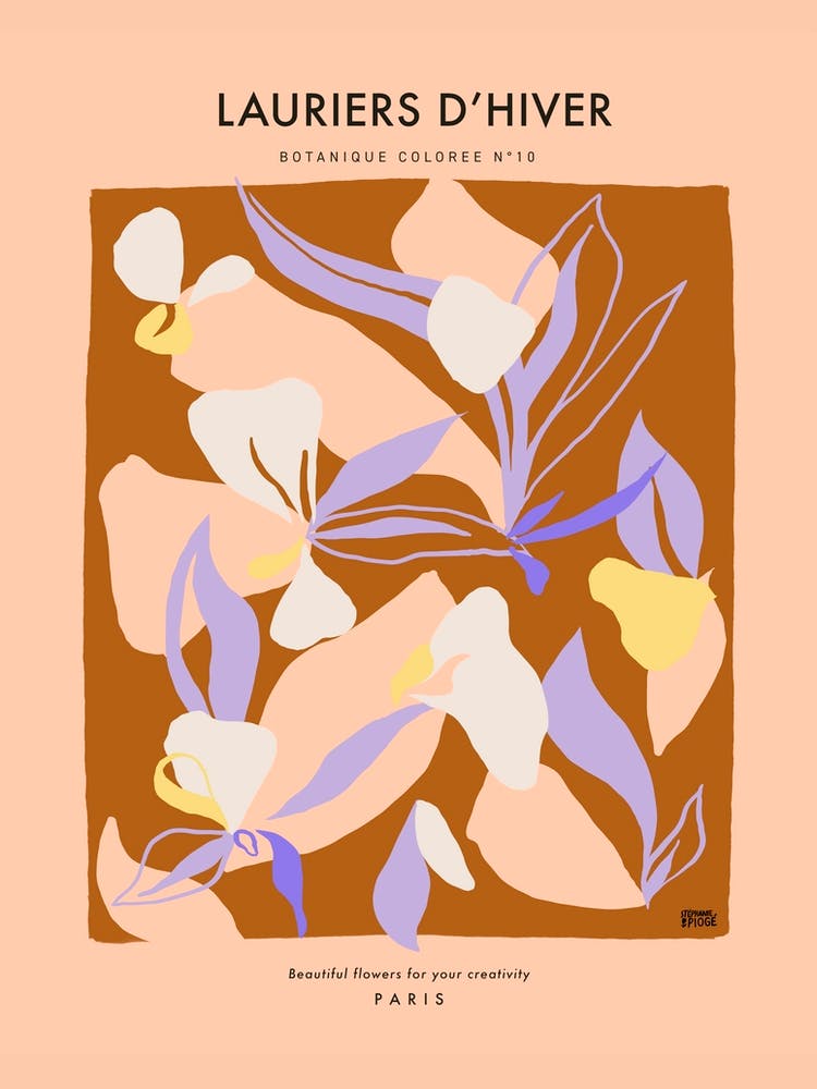 Botanic Collection - Peach Fuzz - Lauriers d'Hiver Winter Laurel
