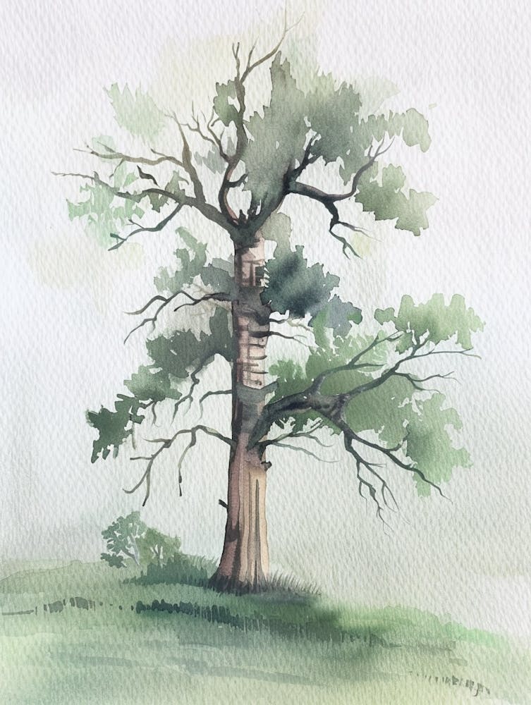 Yew Tree Atmospheric Watercolour Painting 4