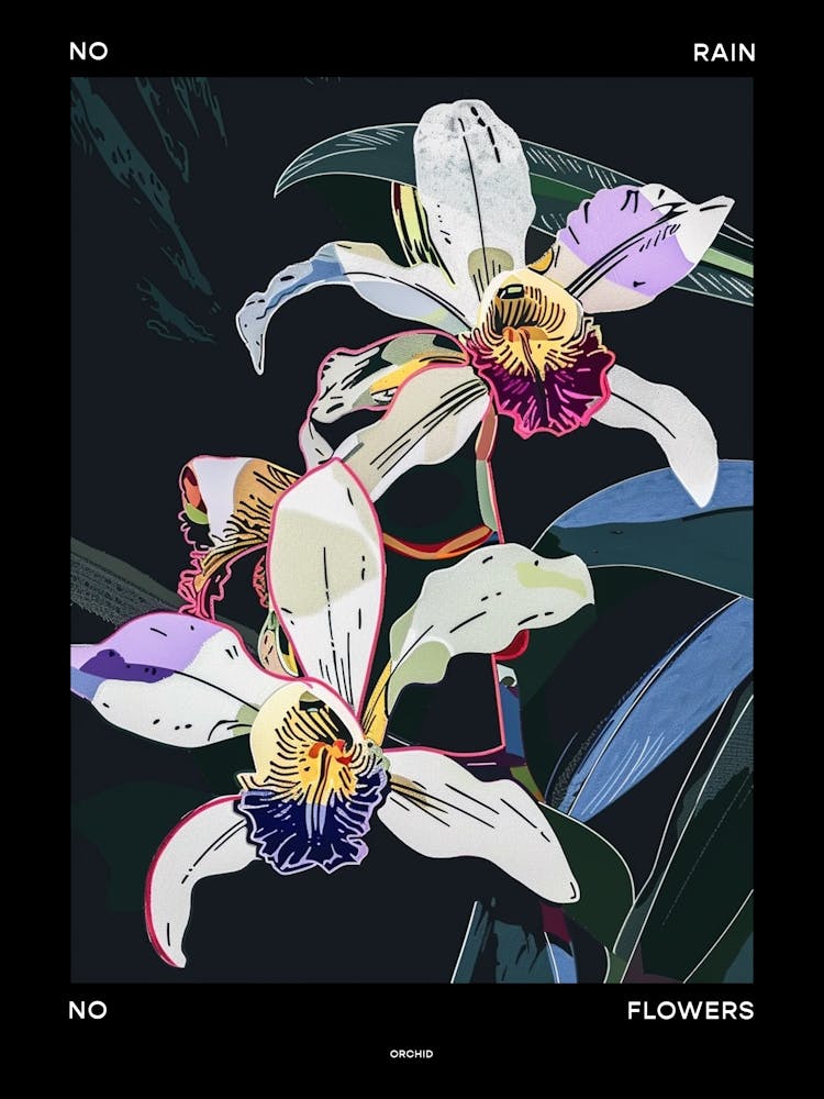 No Rain No Flowers Poster Orchid 1