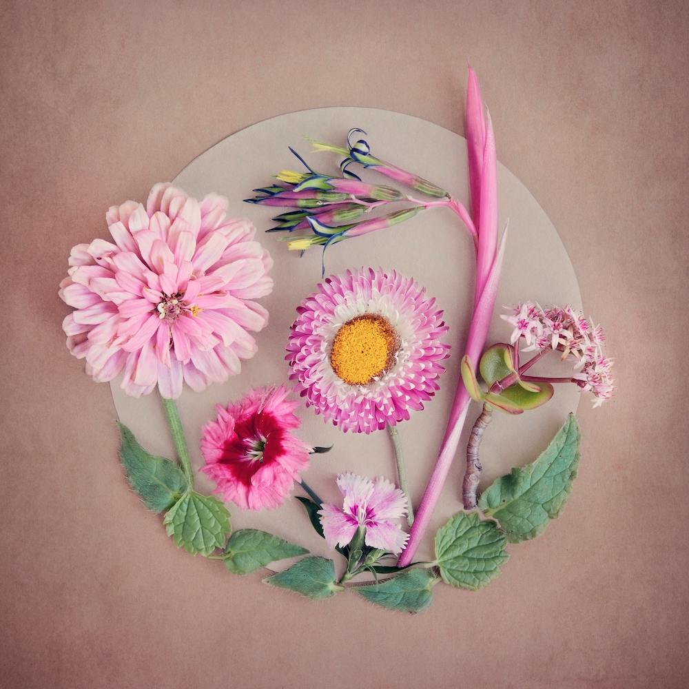 The Secret Garden Blush