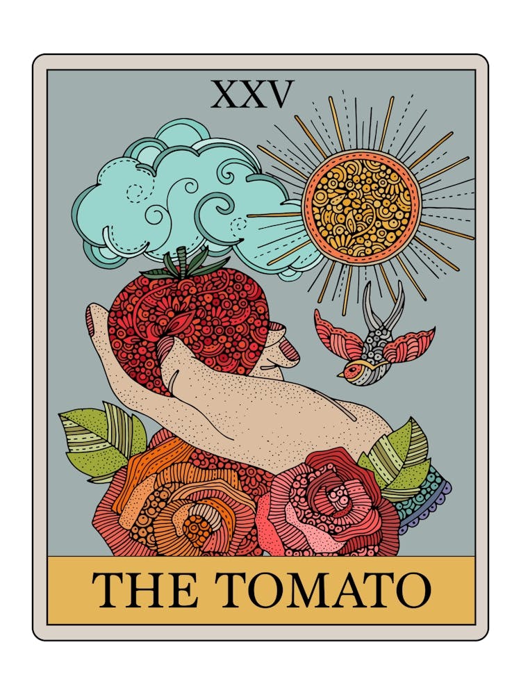 The Tomato