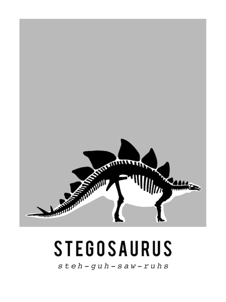 Stegosaurus Dinosaurier-Skelett-Fossil