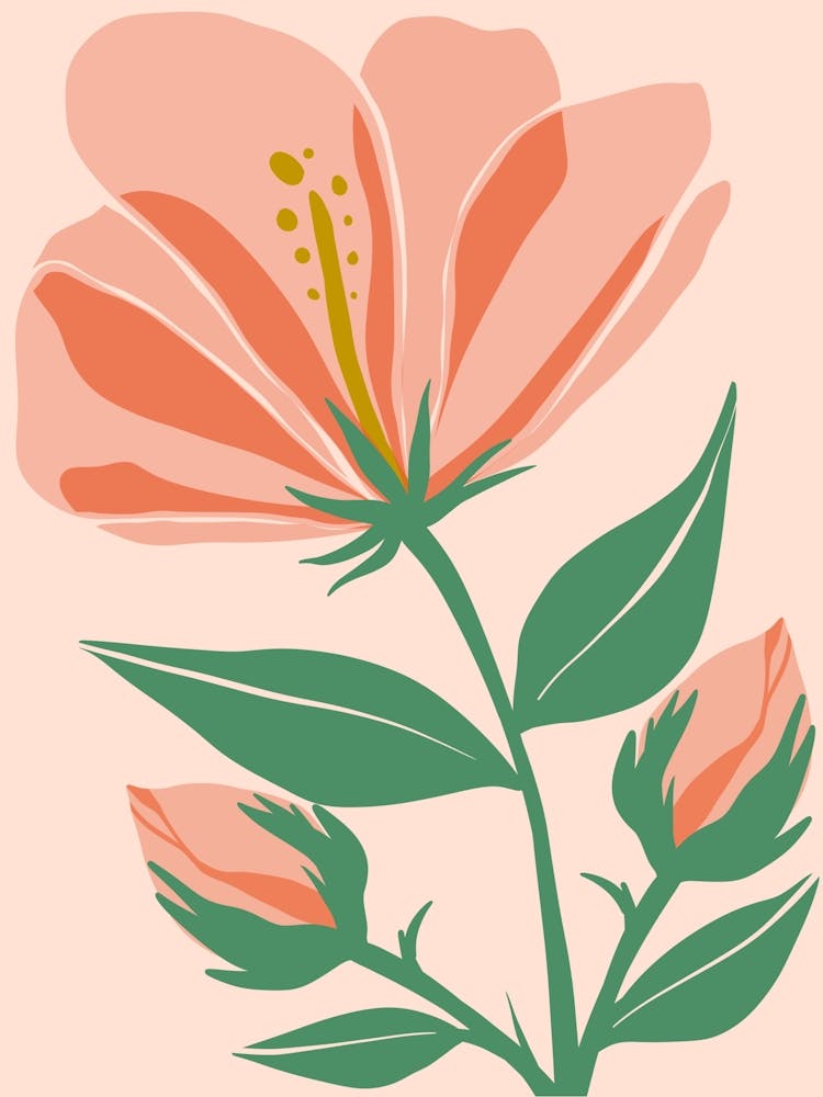 Pink Flower 3