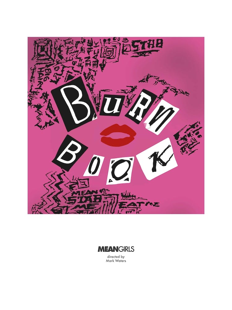 Regina Georges Burn Book