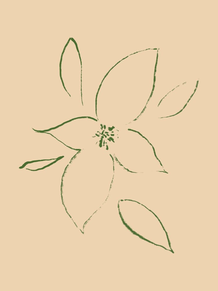 Pure forms no 14