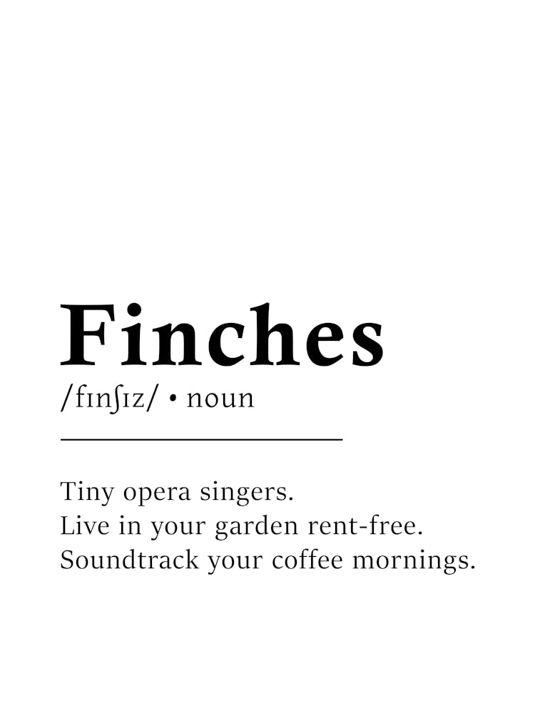 Finches Definition Poster - Dictionary