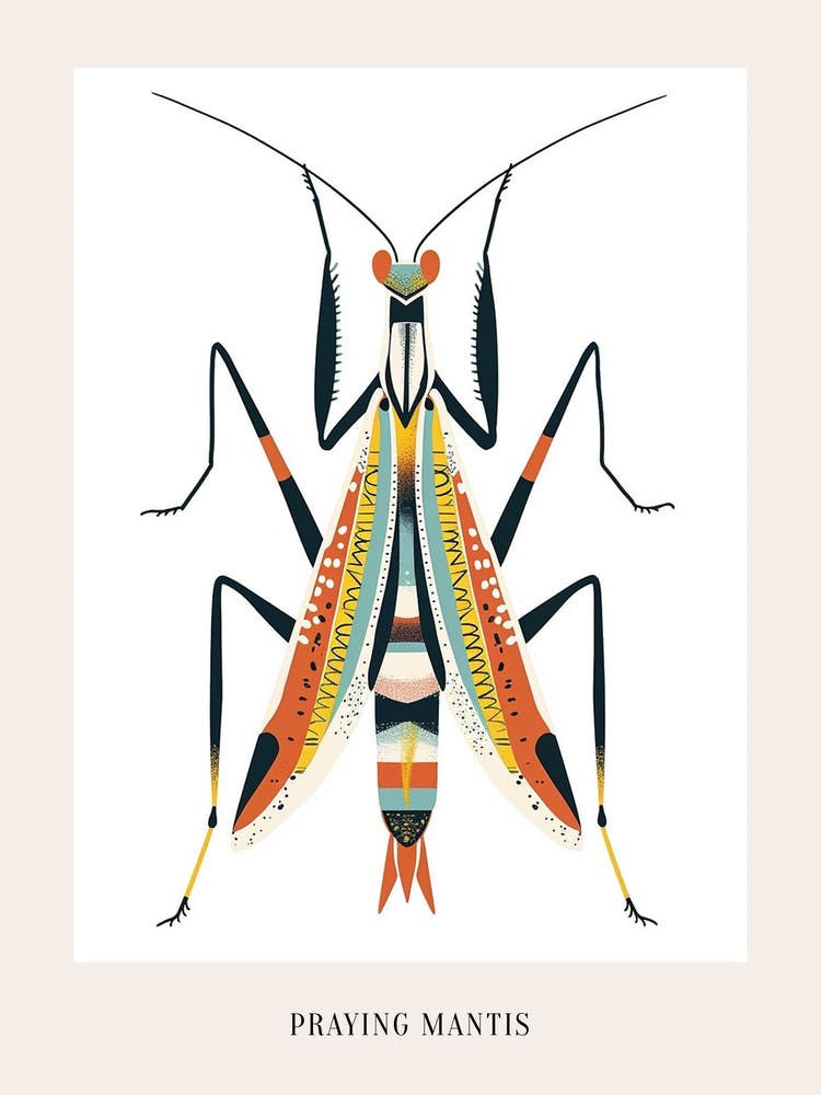 Colourful Insect Illustration Praying Mantis 1 Poster