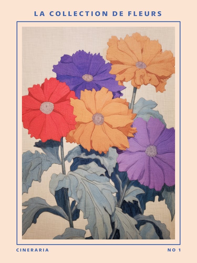 Cineraria French Flower Botanical Poster
