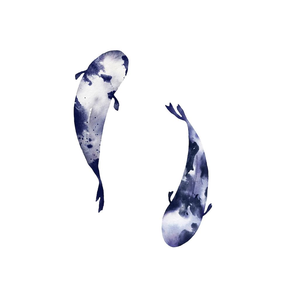 Poisson Koi Carré