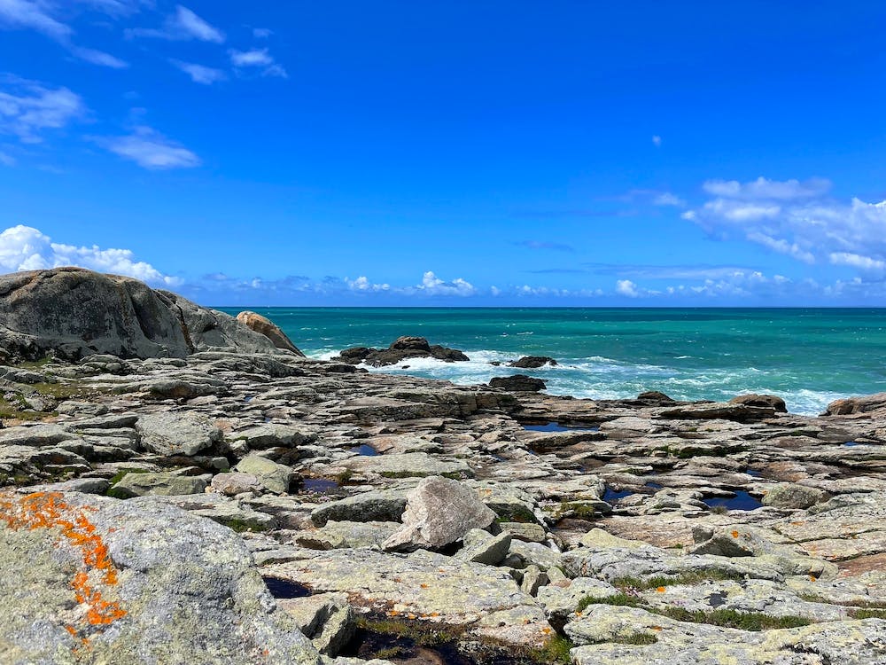 Rocky Shoreline