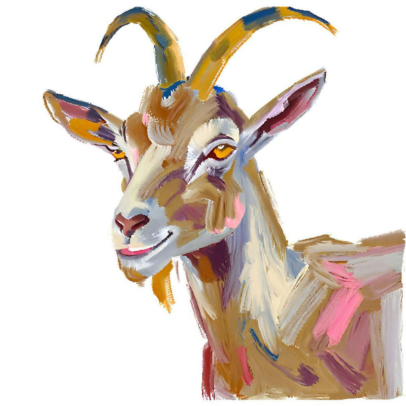 Goat 12