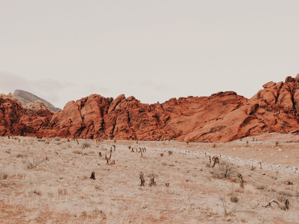 Nevada Red Rock Desert
