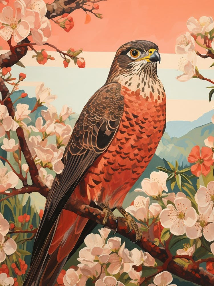 Eurasian Sparrowhawk 1 Detailed Bird Painting