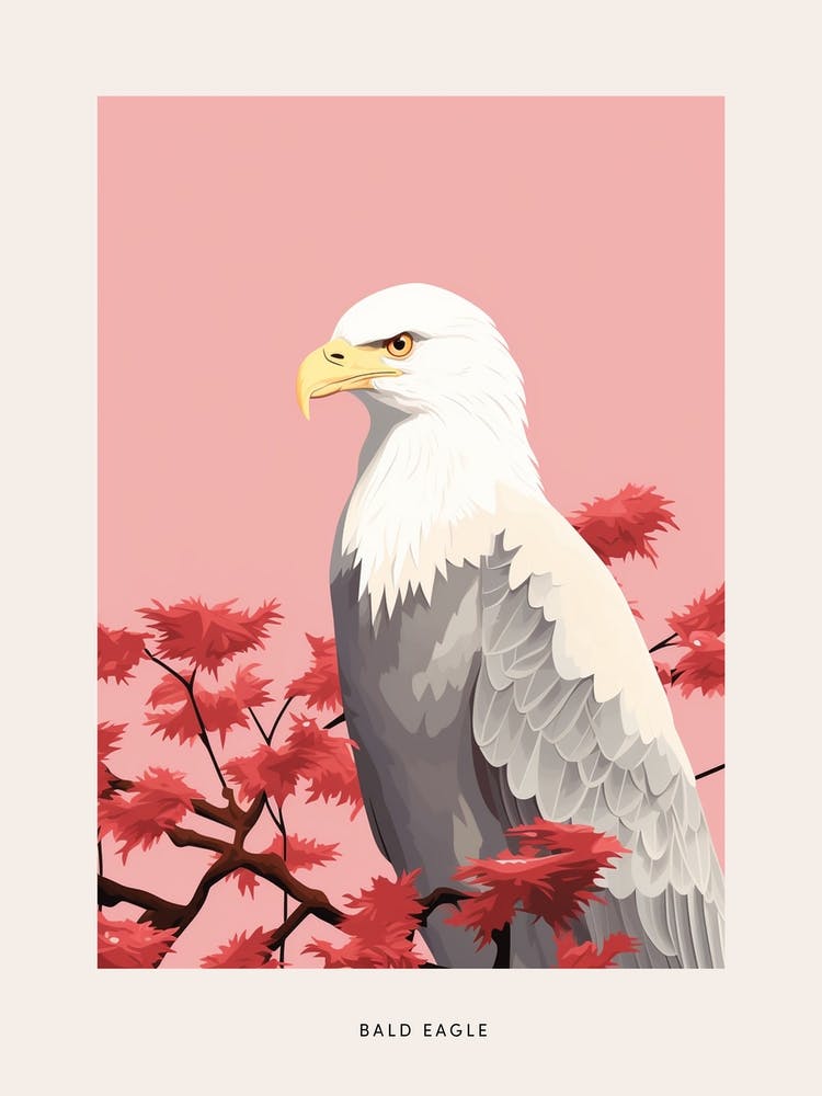 Minimalist Bald Eagle 1 Bird Poster