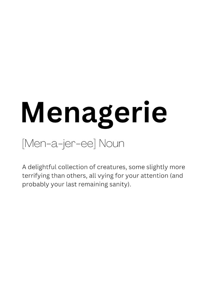 Menagerie Definition Meaning 1