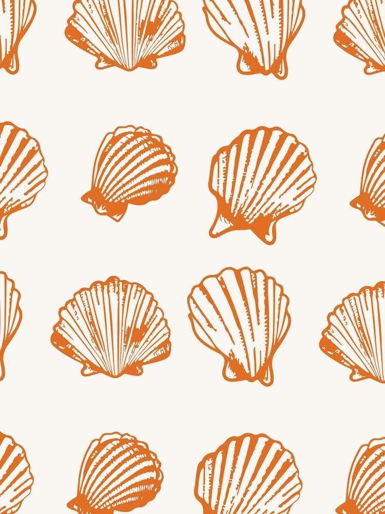 Sea Shells