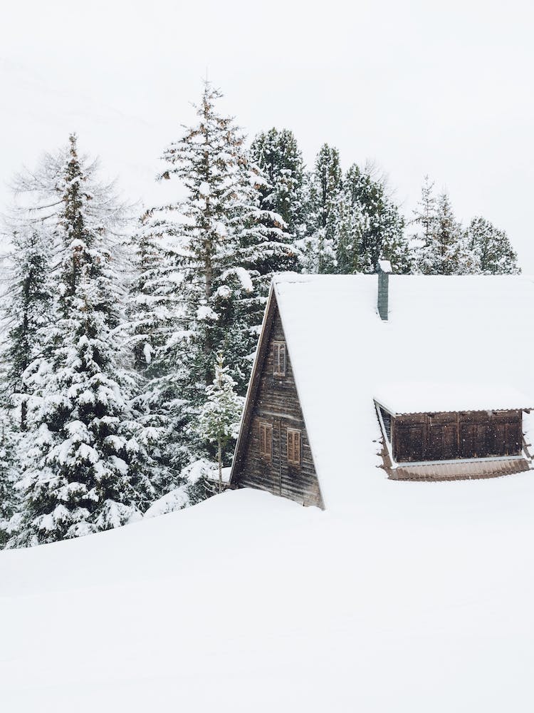 Wood Cabin Snow Day