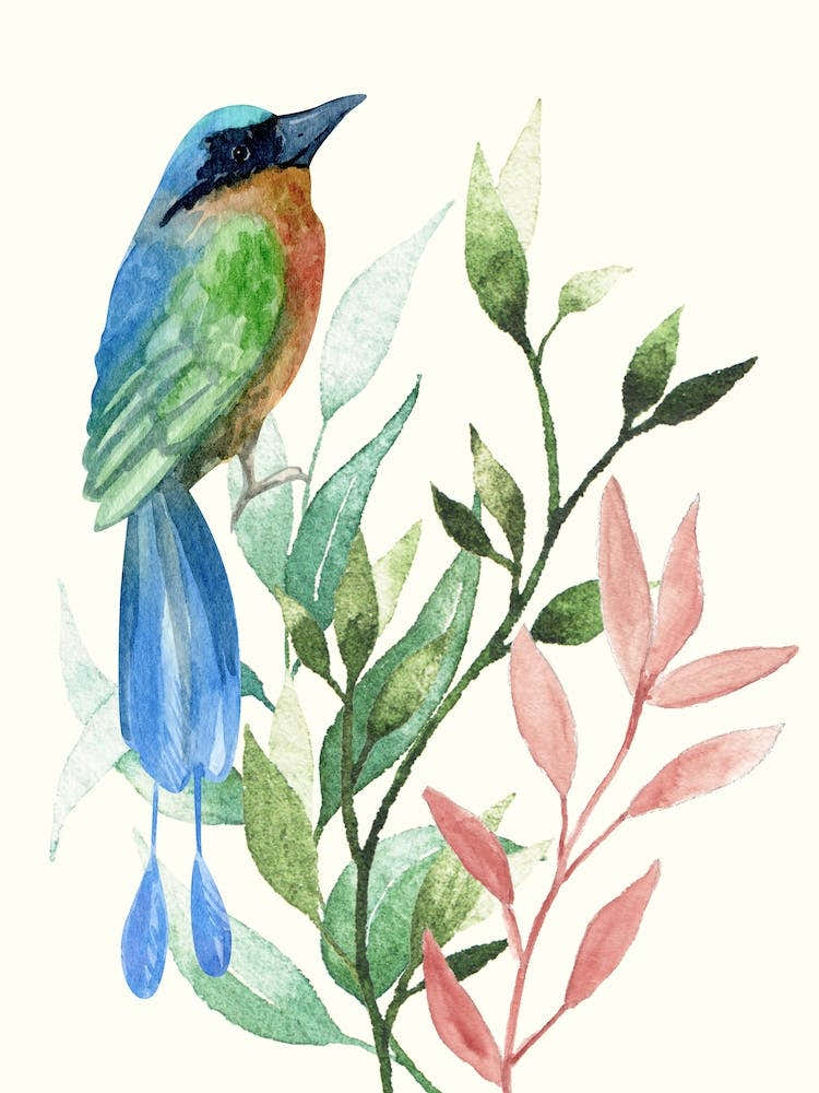 Watercolor Of A Bird