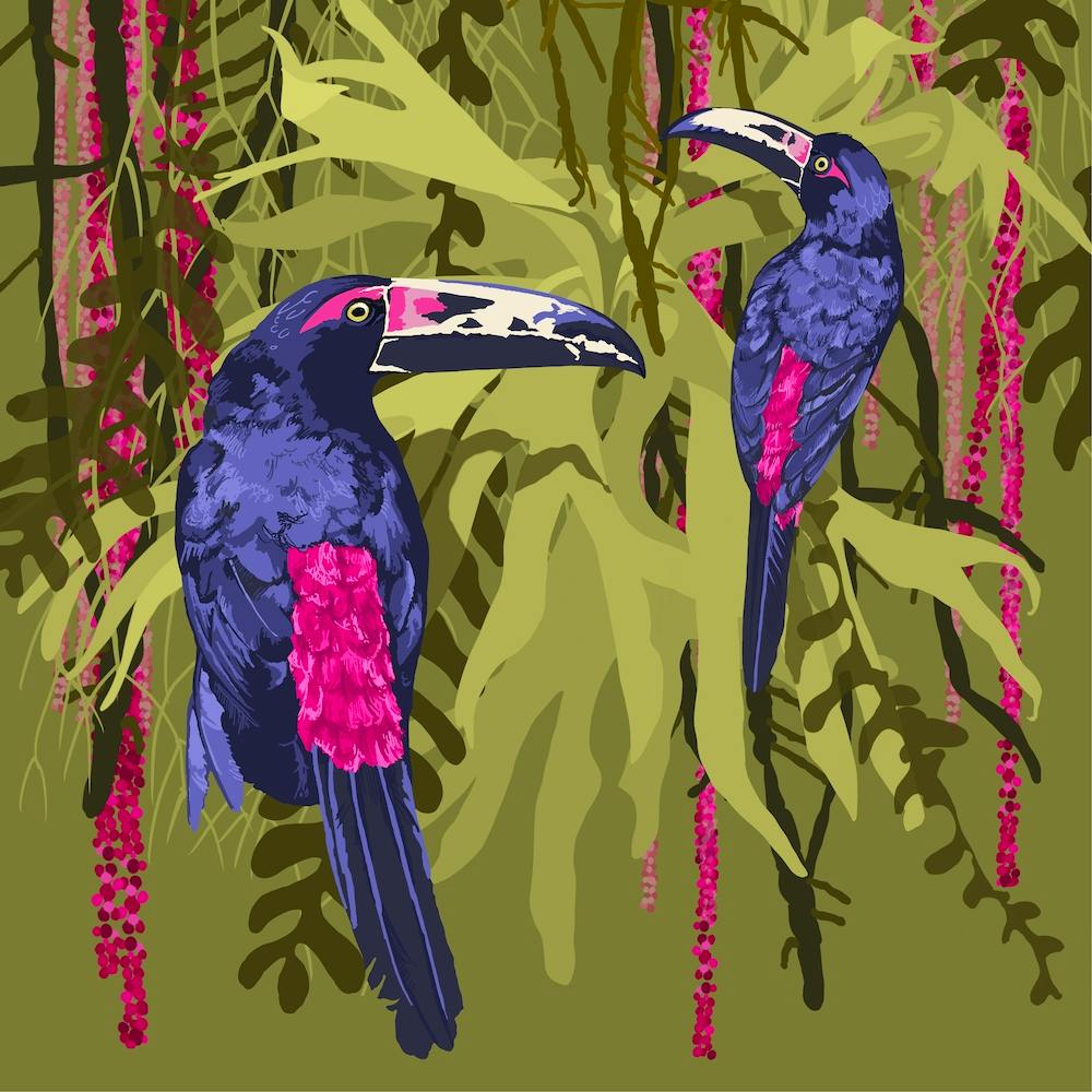 Toucans In The Jungle Square