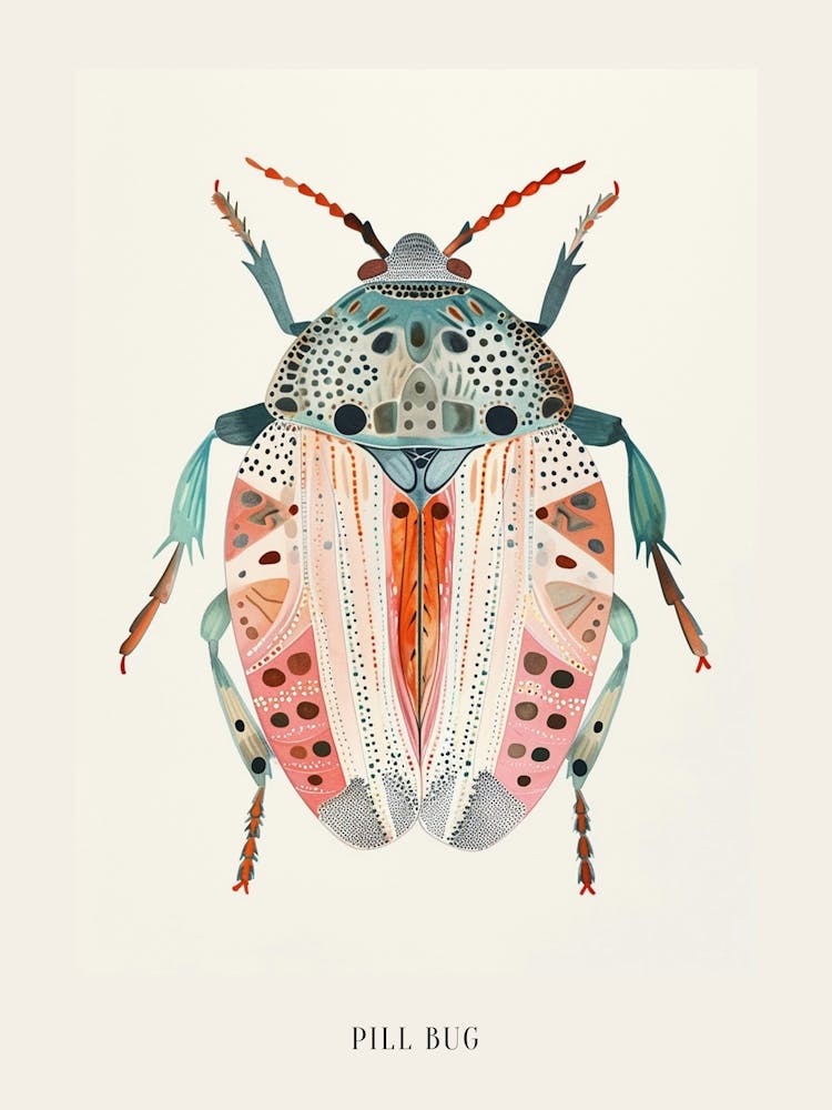 Colourful Insect Illustration Pill Bug 2 Poster