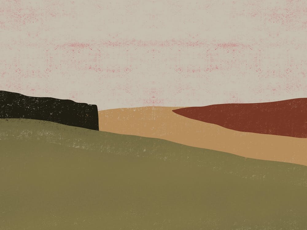 Landscape x