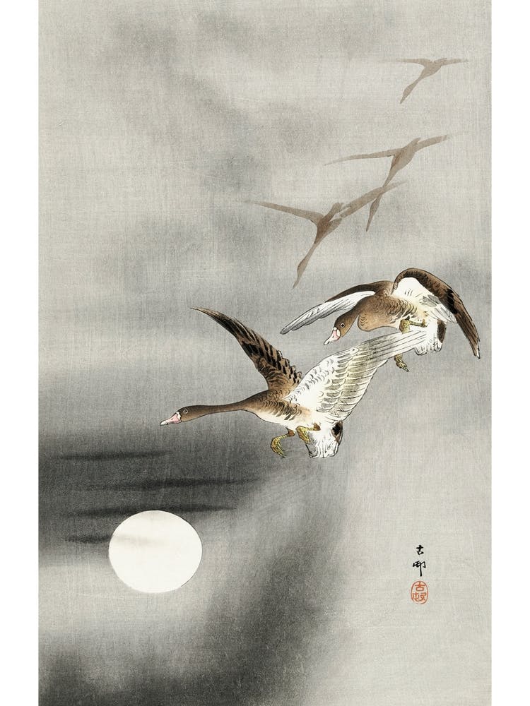 Geese In Flight (1900 1930), Ohara Koson