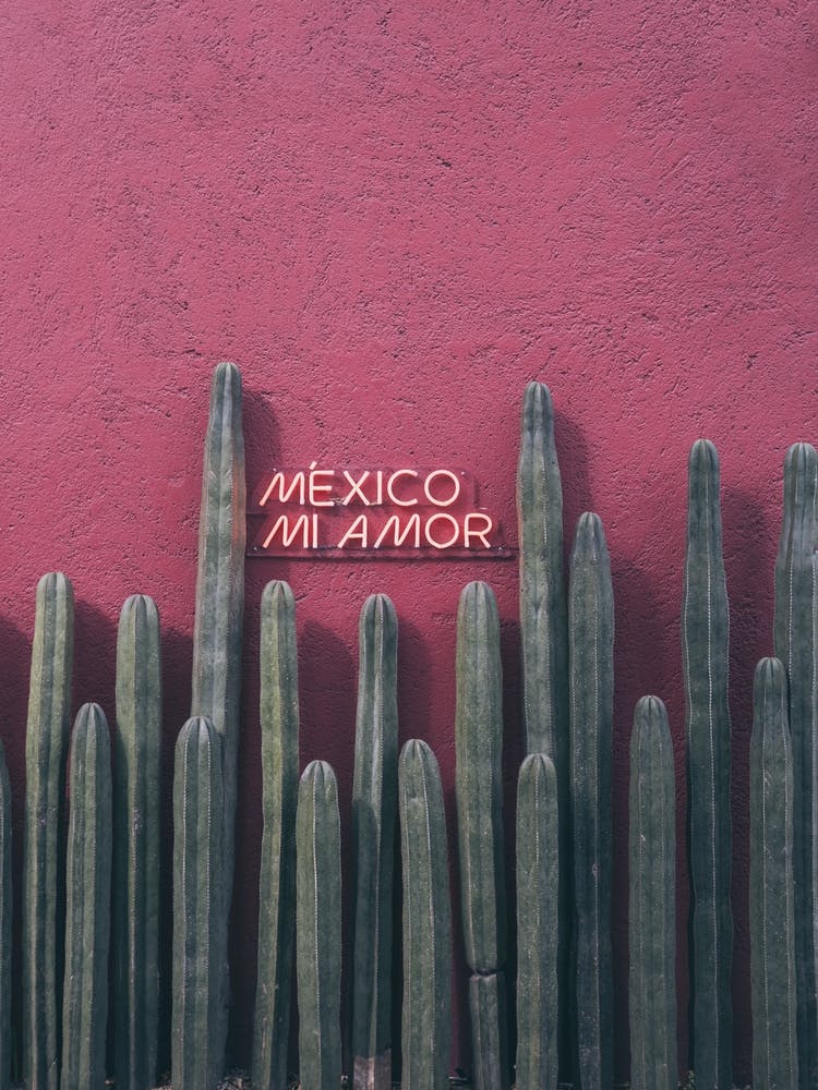Mexico Mi Amor