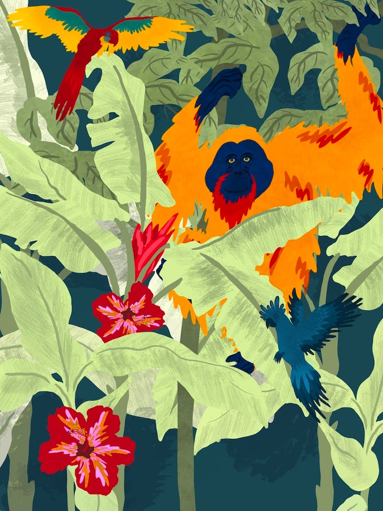 Orangutan In The Jungle