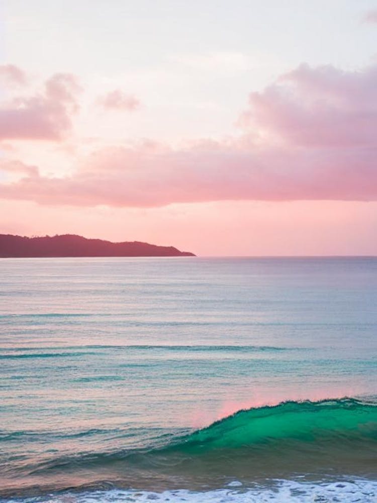 Maracas Bay, Trinidad And Tobago Photographie Rose 1