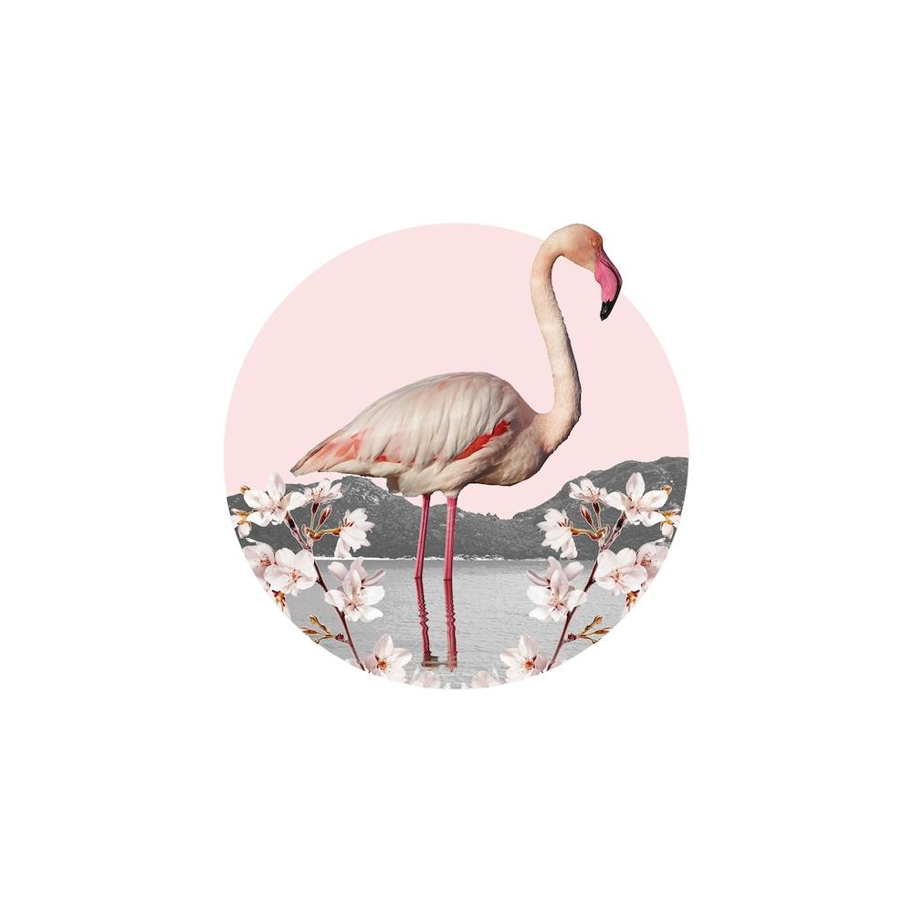Flamingo Collage Square
